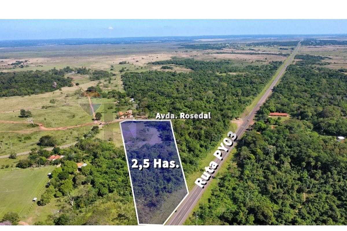 Terreno de 2,5 Hectáreas sobre Ruta Principal en Arroyos y Esteros, foto 5
