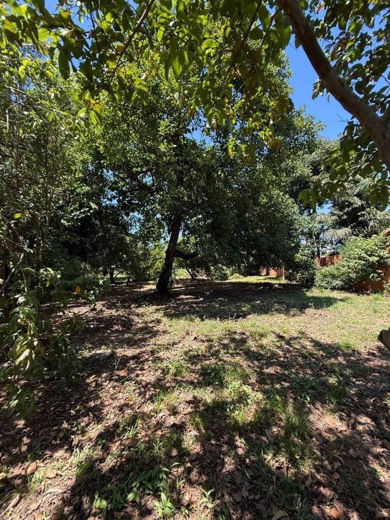 Terreno en venta - zeballos cue, asuncion