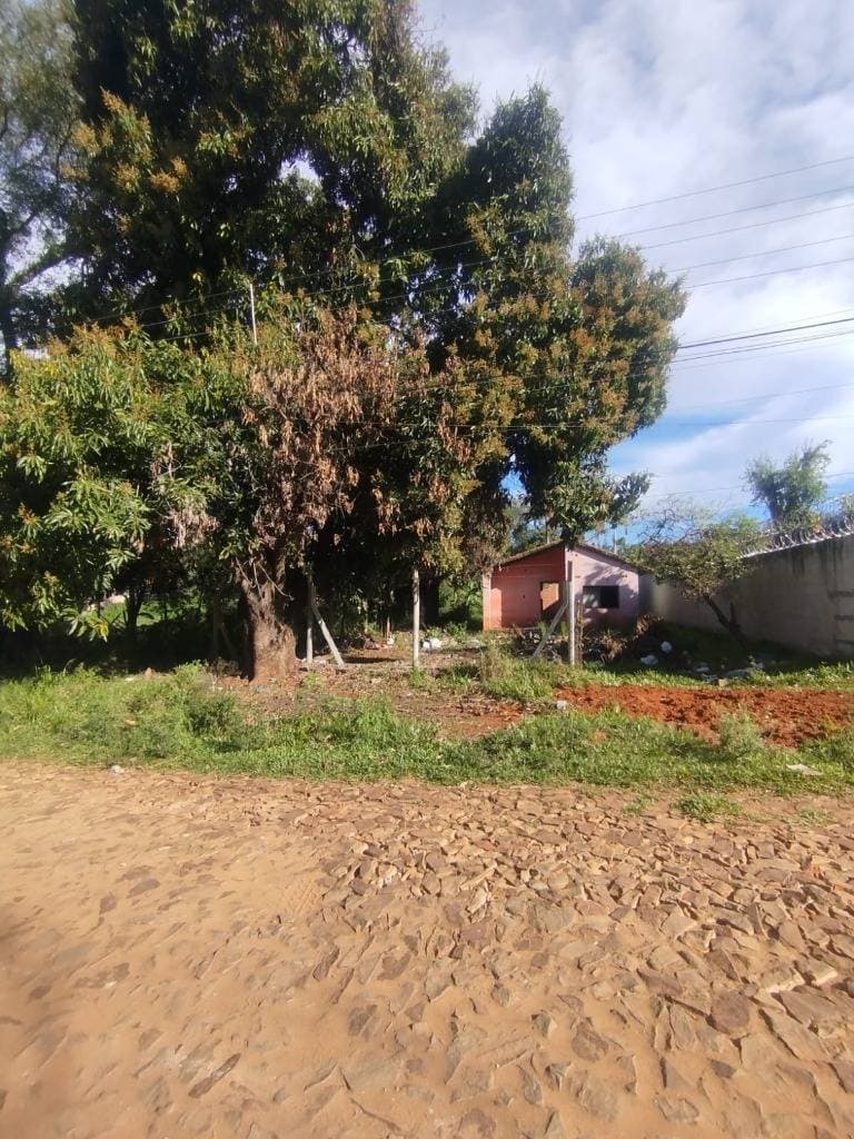 Terreno en Venta en San Lorenzo, foto 1