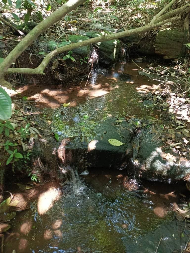 En venta propiedad agricola en paraguari mbatovi, foto 2