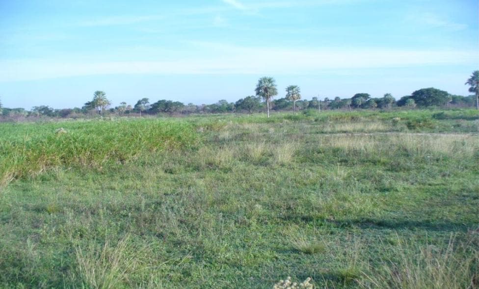 Propiedad Rural de 3 Lotes, Ubicada en Buey Rodeo, Villeta - CLCS8005532, foto 1