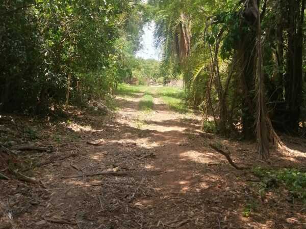 Gran oportunidad de inversión en Maramburé – Luque, foto 3
