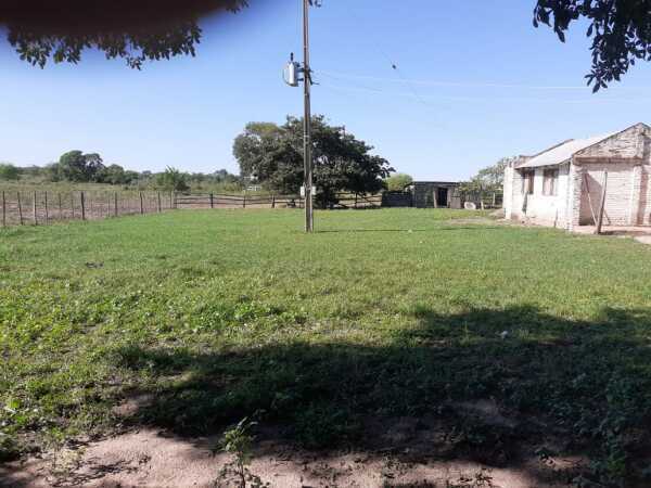 estancia de 845 Has con pastura para engorde de animales,en San Pedro, foto 2