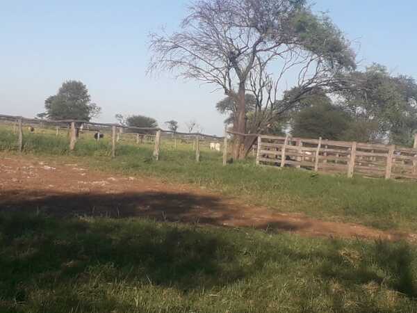 Estancia – alto paraguay, fortín florida, foto 2