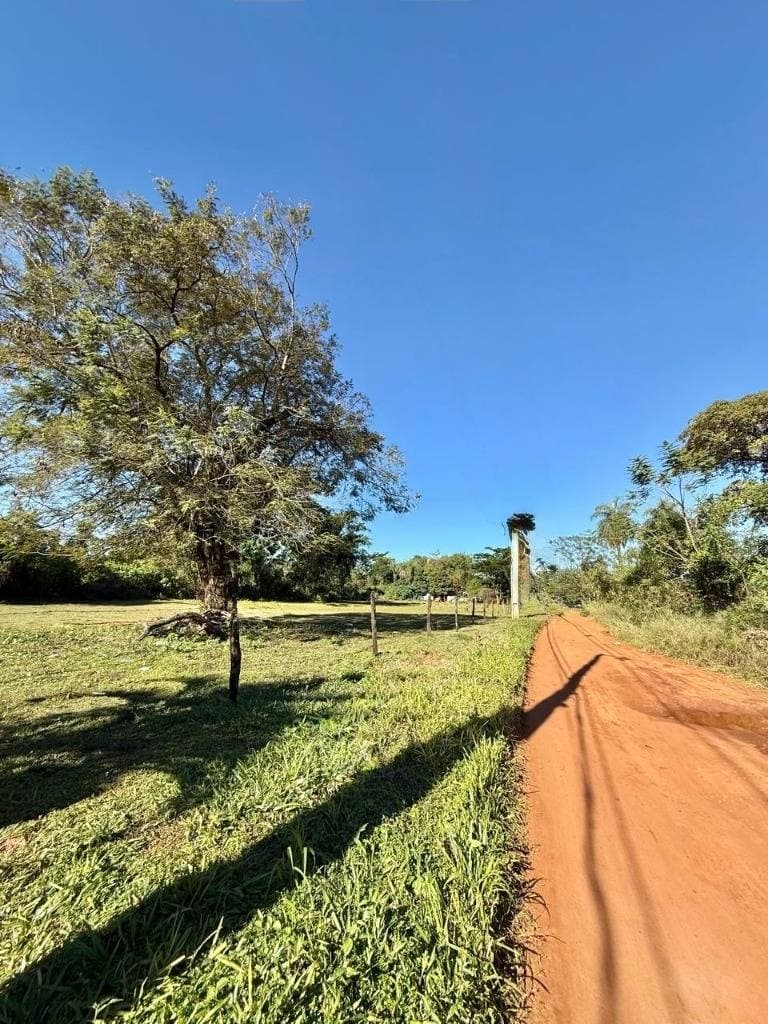 7 Lotes En Limpio – Zona Residencial En Crecimiento, foto 3