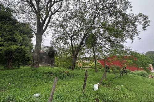 Terreno en lambare barrio san isidro, foto 5