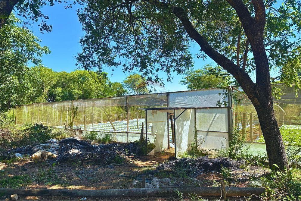 Finca Agrícola - Venta - Nueva Colombia, Paraguay, foto 2