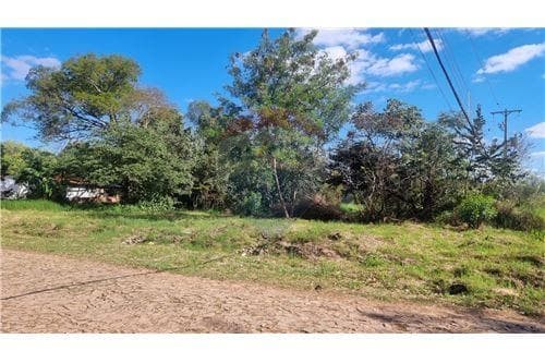 Terreno en venta, limpio, foto 4