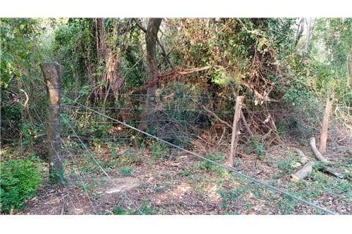 Terreno-Venta-PY Cordillera San Bernardino COD.113, foto 2