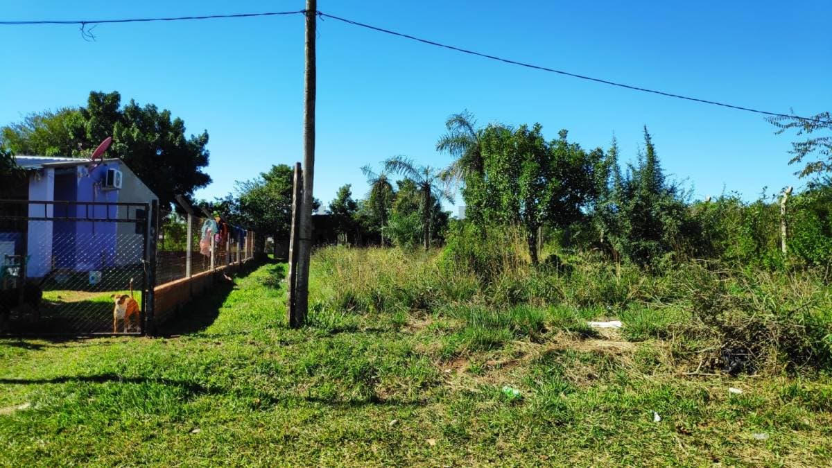 De hermoso terreno en naranjaisy, foto 2