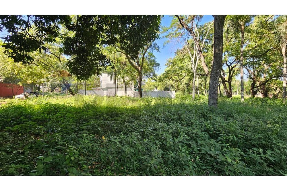 Terreno en venta - Lambaré, foto 5