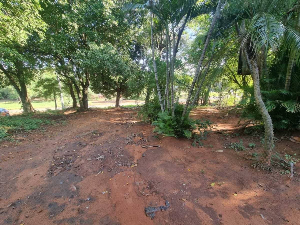Vendo terreno en esquina en Luque