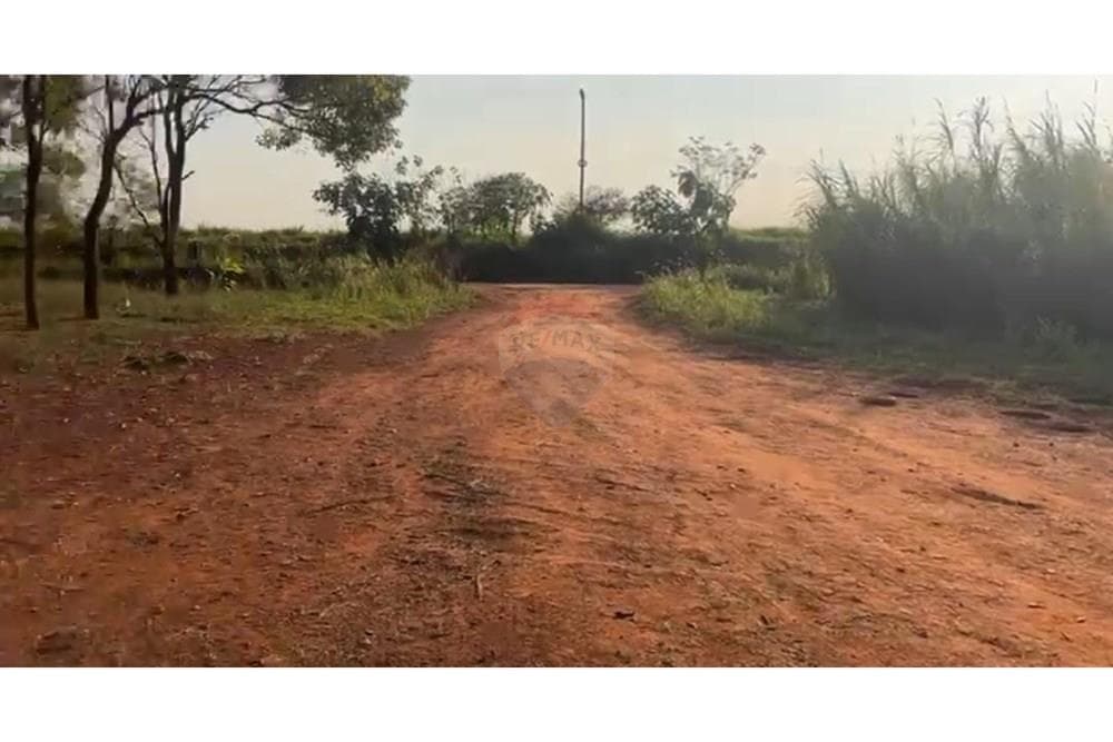 Terreno hectareas agricolas en minga guazu km 16, foto 3