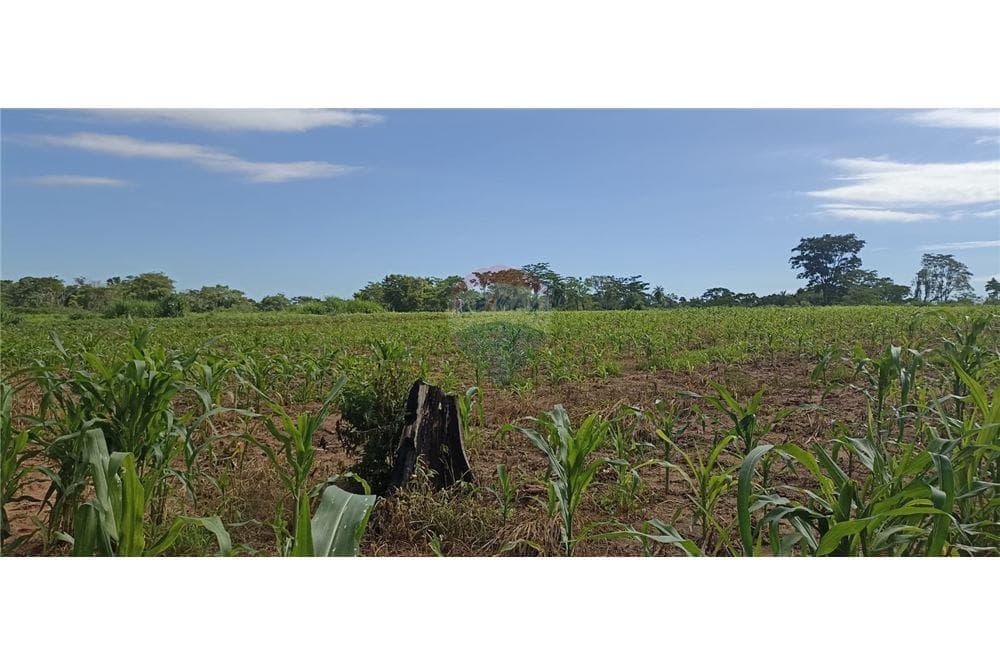 En venta Terreno de 70 hectáreas En Paraguarí a 500 metros del Río Tebicuary, foto 3