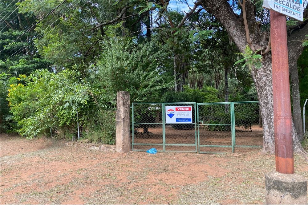 Terreno - Venta - Villa Elisa, Paraguay, foto 2