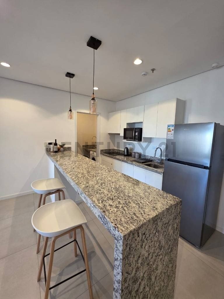 En Venta Departamento De 1 Dormitorio Amoblado, foto 2