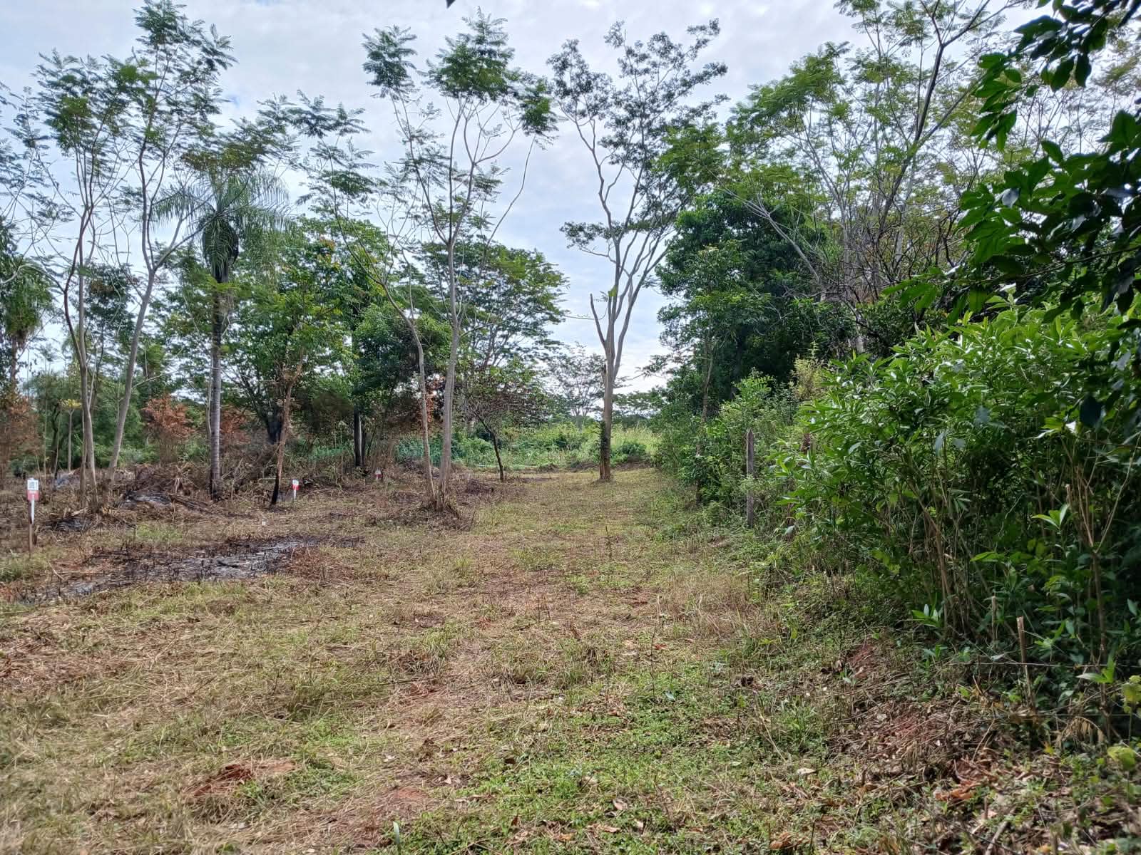 Remato 8.418 M2 En Itaugua Potrero Guazu A Solo 10 Minutos De Ruta 2, foto 1