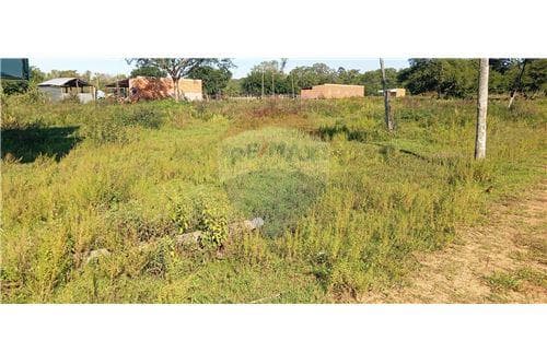 Terreno - Venta - Paraguay Central 15 hectáreas en venta - Ruta Luque Sanber, foto 4