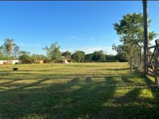 Terreno en venta, coronel oviedo, foto 1