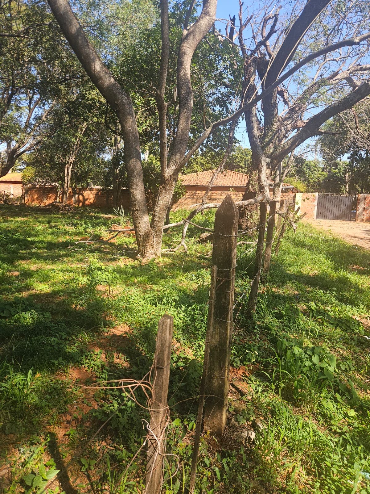 Terreno en Luque para desarrolador zona rakiura, foto 2