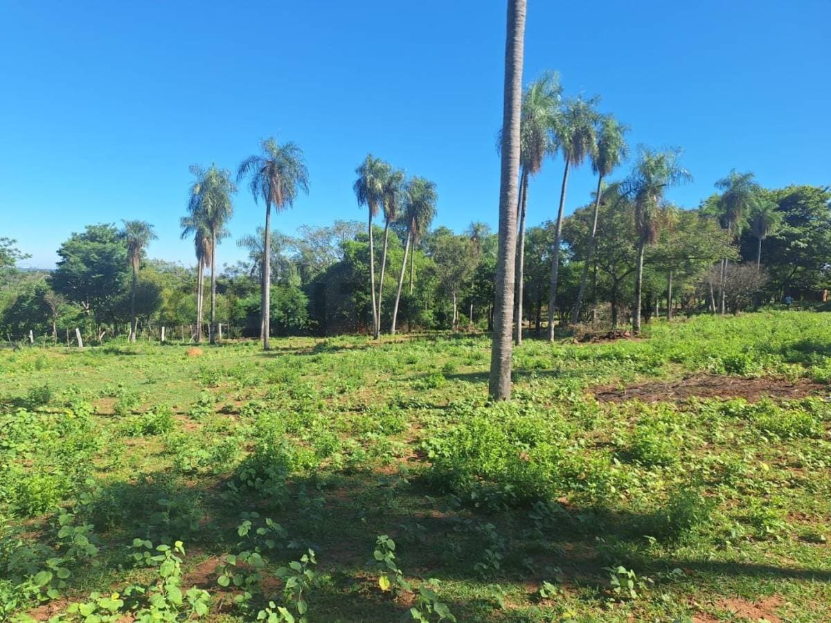 terreno con vista al Lago en San Bernardino, foto 4