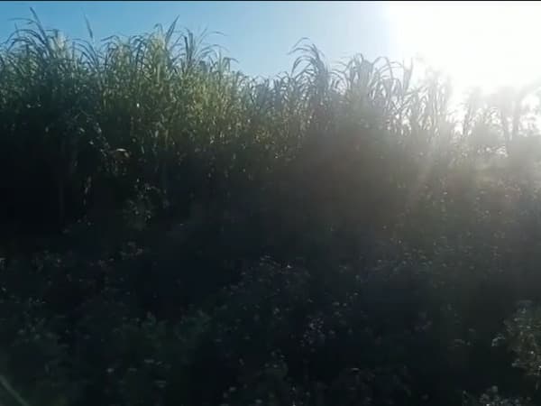 ⚠️vendo terreno villa oliva!, foto 4