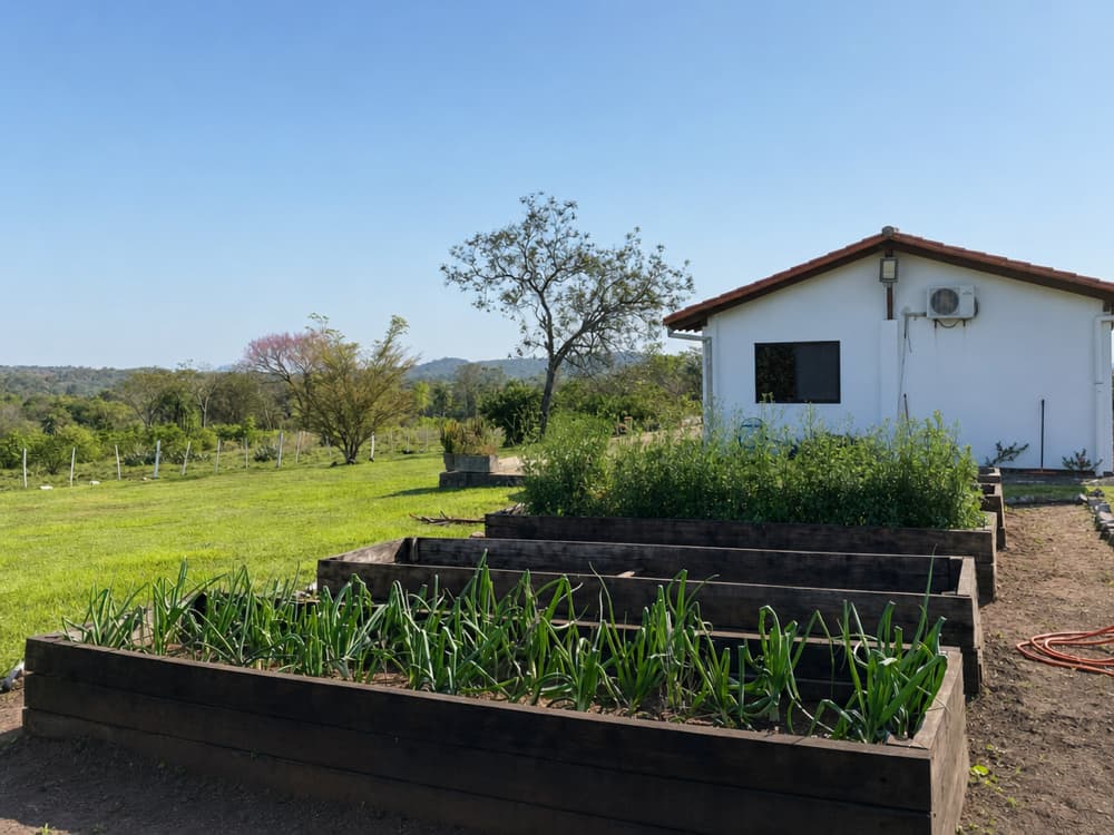 Campo De 28 Hectáreas En Sapucai Con Casa Renovada, Arroyo Y Vistas A Los Cerros — foto 5