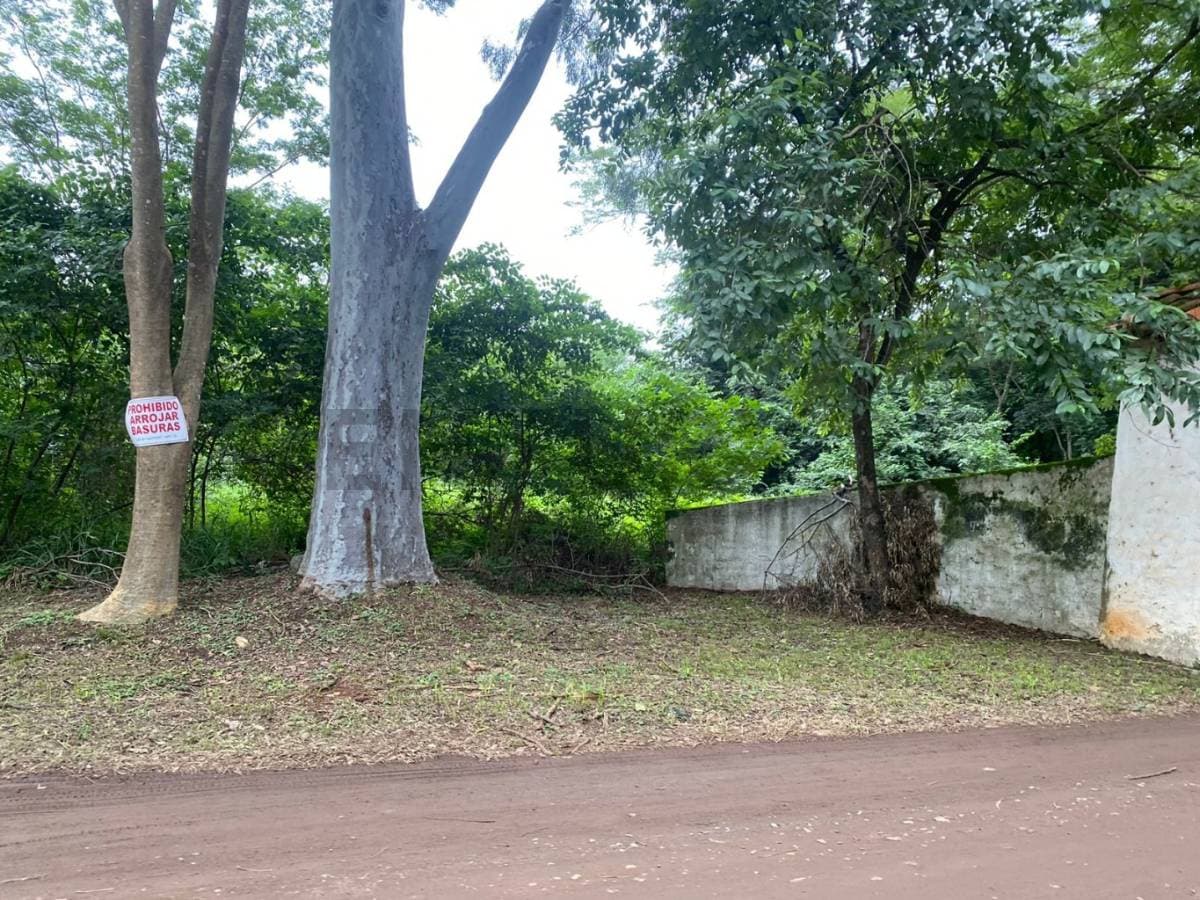 De terreno Mariano Roque Alonso, foto 1