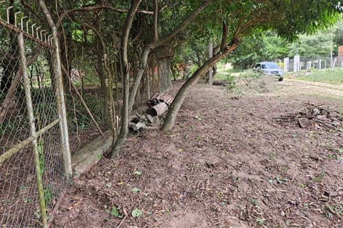 Terreno en San Bernardino, foto 3