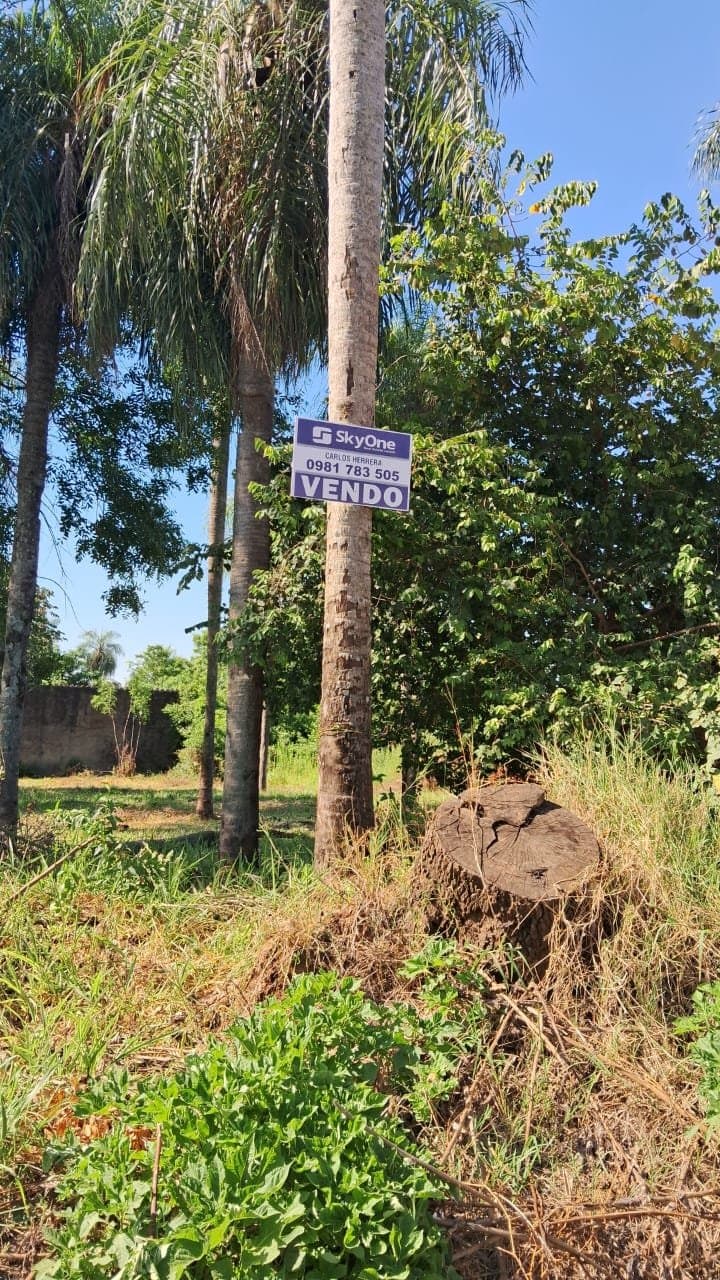O Permuto Terreno En Limpio, foto 1