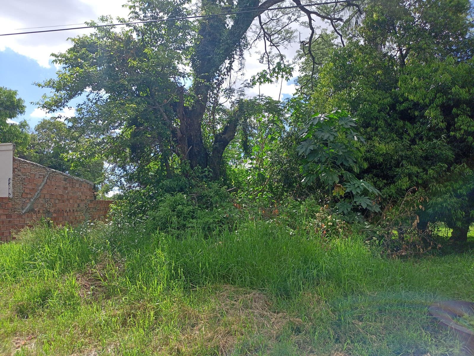 Vendo terreno en oferta en San Lorenzo