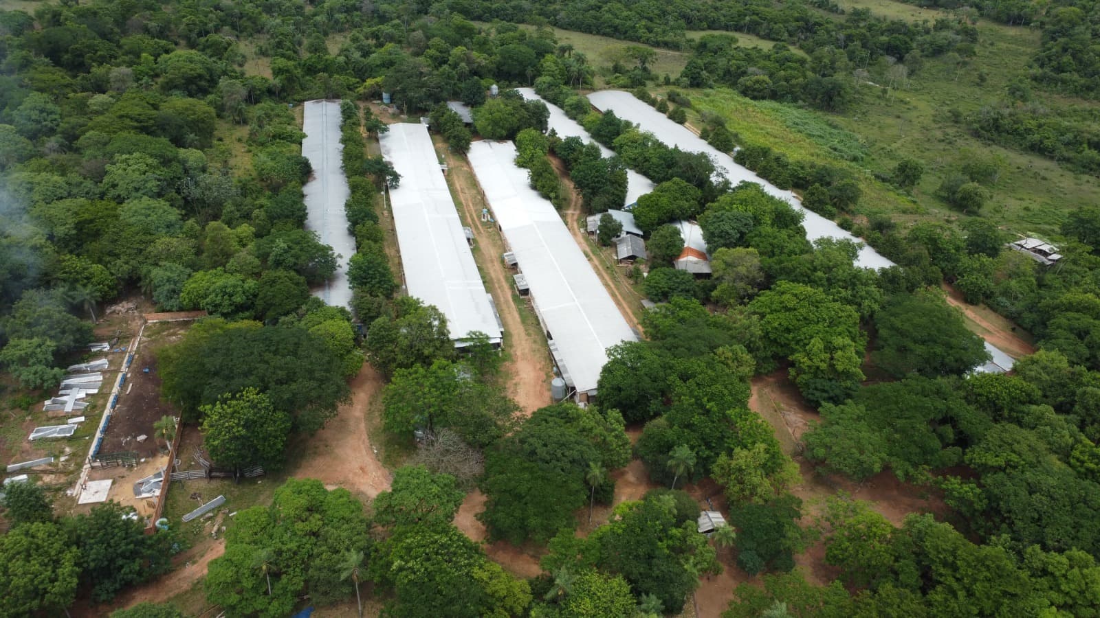 Vendo Granja Avícola En Altos