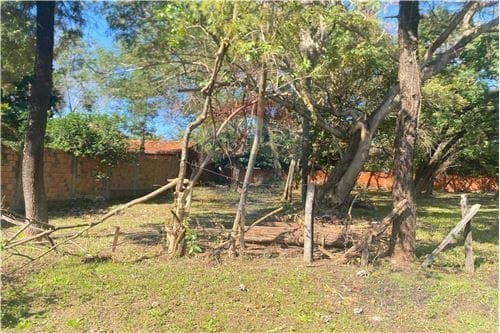 Terreno en venta, San Lorenzo, foto 3
