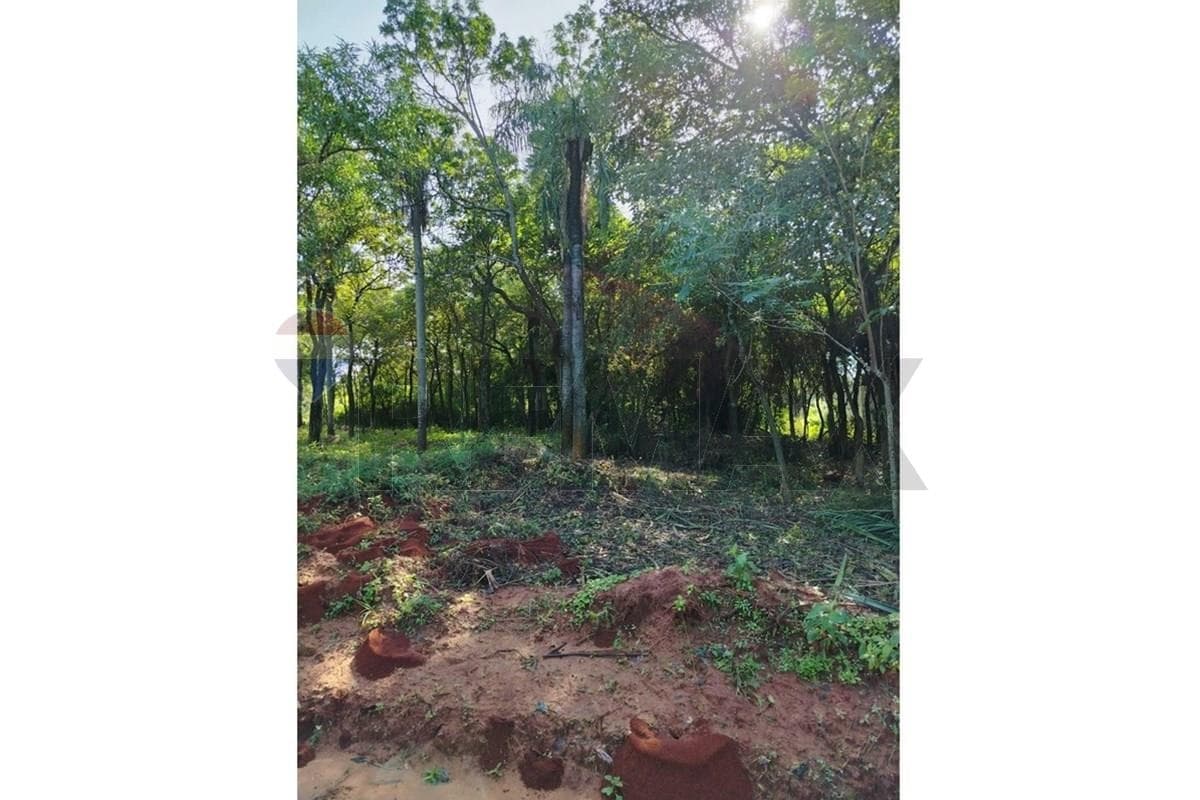 Vendo Terreno de 360 m2 en Zárate Isla, Luque