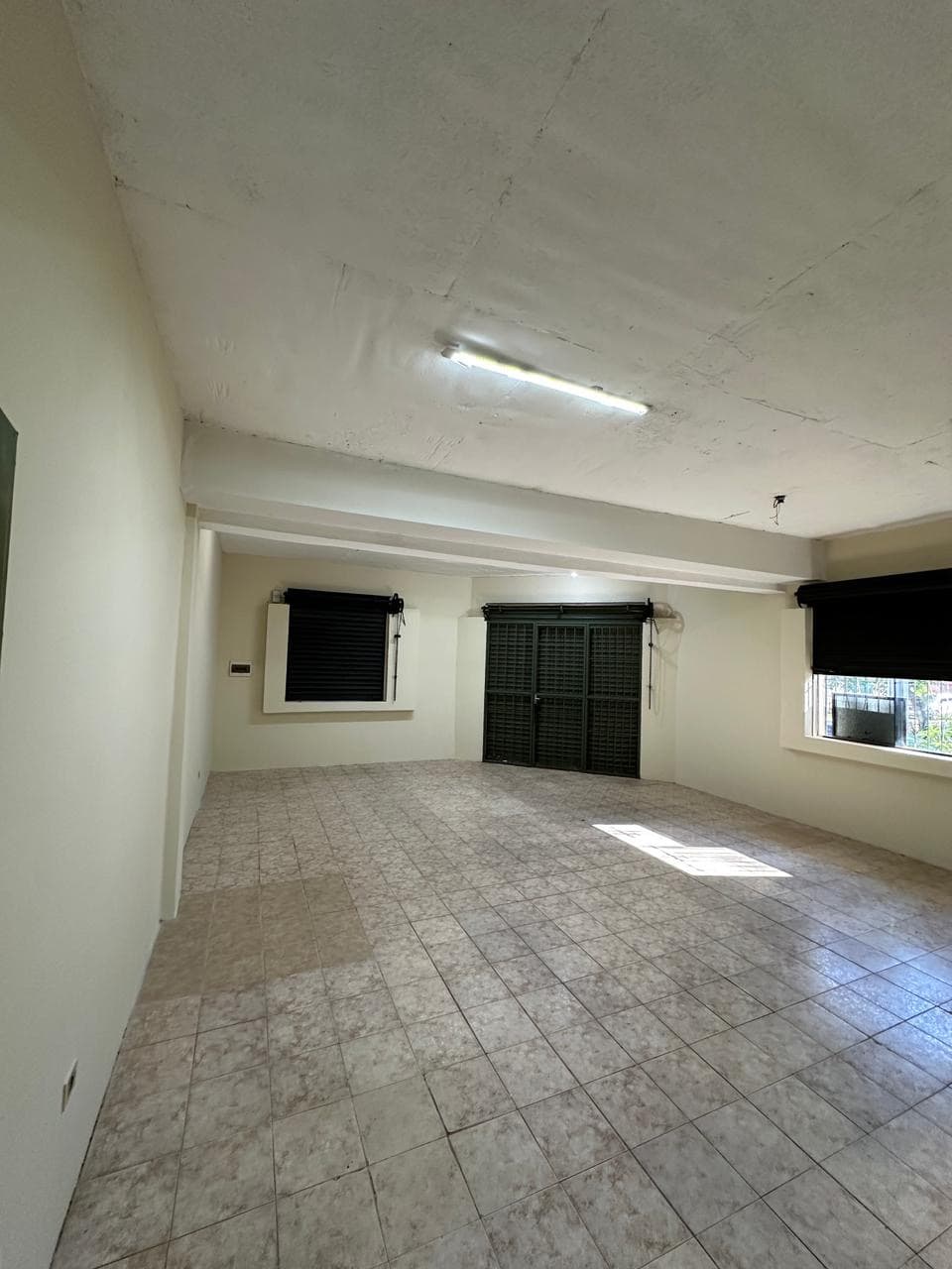 De salón comercial o vivienda – Fernando de la Mora zona sur, foto 2