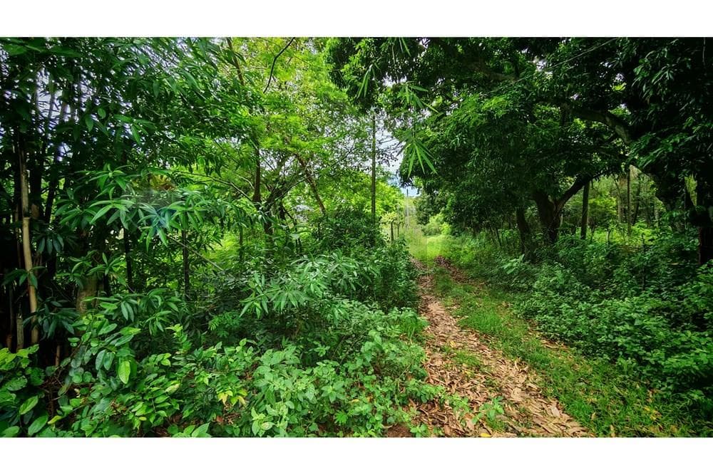 En Venta - Terreno -Ypacaraí, Central, Paraguay — foto 5