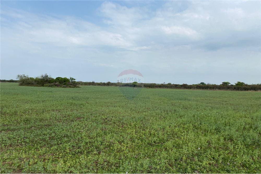 Venta- Terreno- Villeta Lomas Valentinas, foto 2
