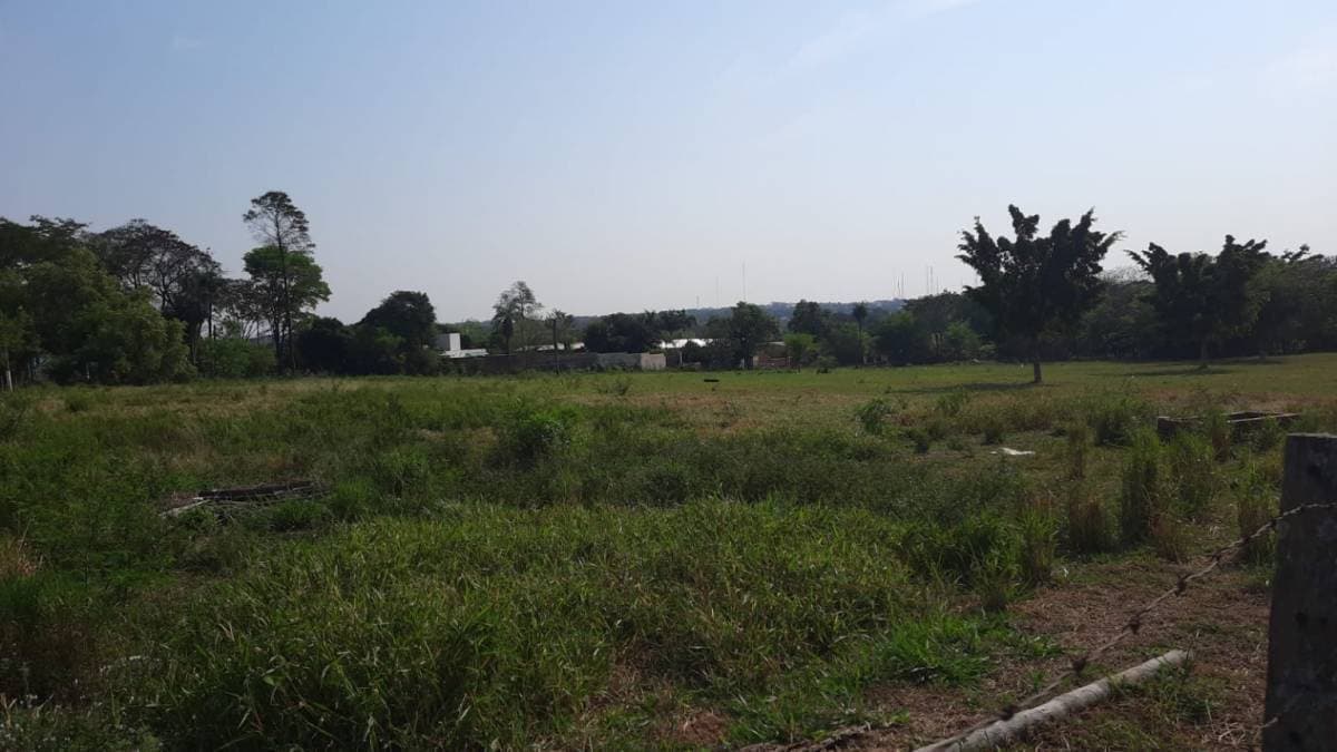 Hermoso terreno en Villa Elisa — foto 2
