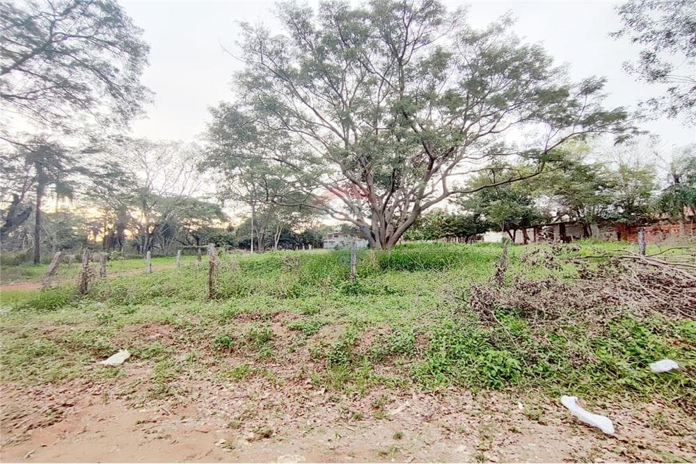 Terreno - Venta - Villa Elisa, Paraguay, foto 3