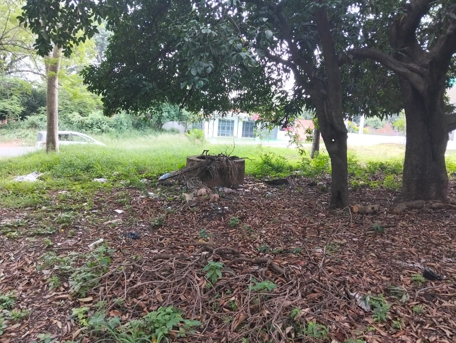 Terreno sobre asfalto en Ñemby!, foto 4