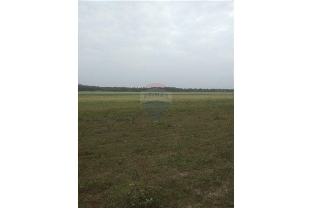 Campo 166,5 hectáreas - san pedro del ycuamandiyu, foto 2