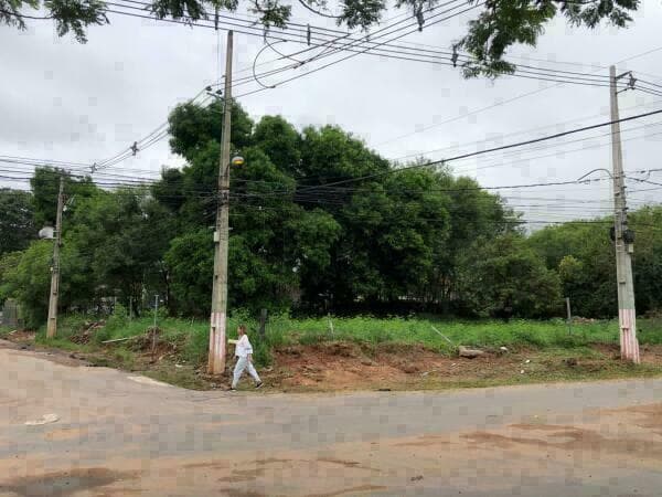 Terreno excelente ubicacion!, foto 2