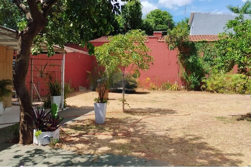 De tinglado/depósito y dos terrenos, foto 3