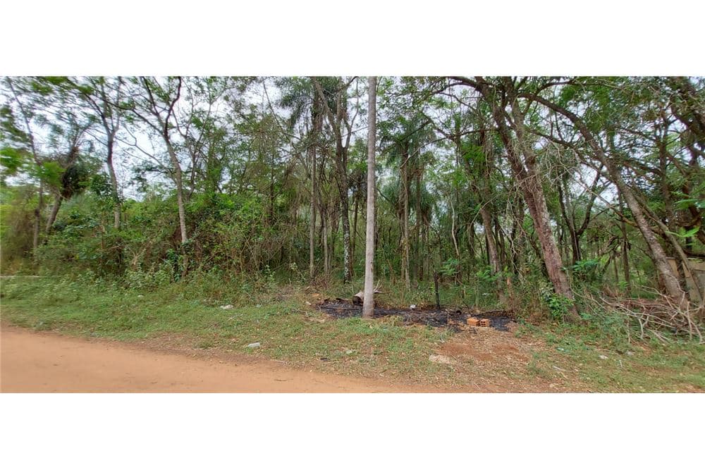 Vendo terreno de 1,492 m2 en San Bernardino