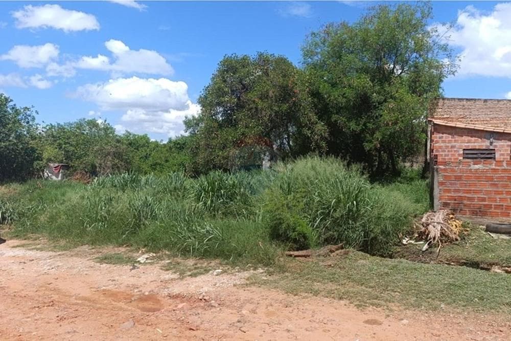 Terreno - Venta - Paraguay Mariano Roque Alonso, foto 5