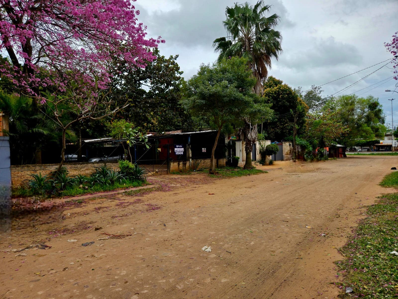 Propiedad en Mariano Roque Alonso a 1/2 cuadra de la ruta — foto 3