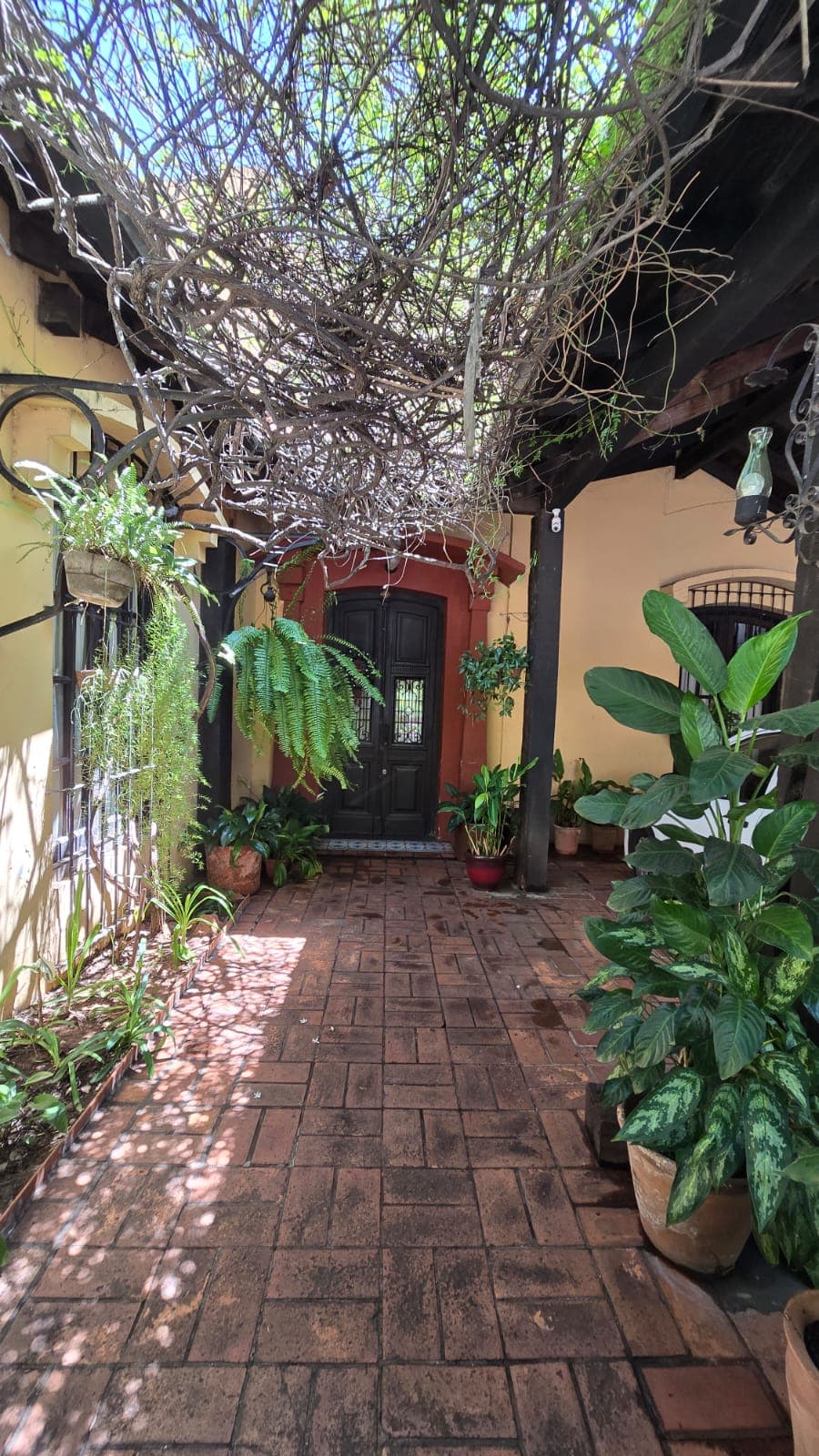 Casa Colonial De 490 M2, Sobre Mcal. Estigarribia - Lho7795266, foto 5