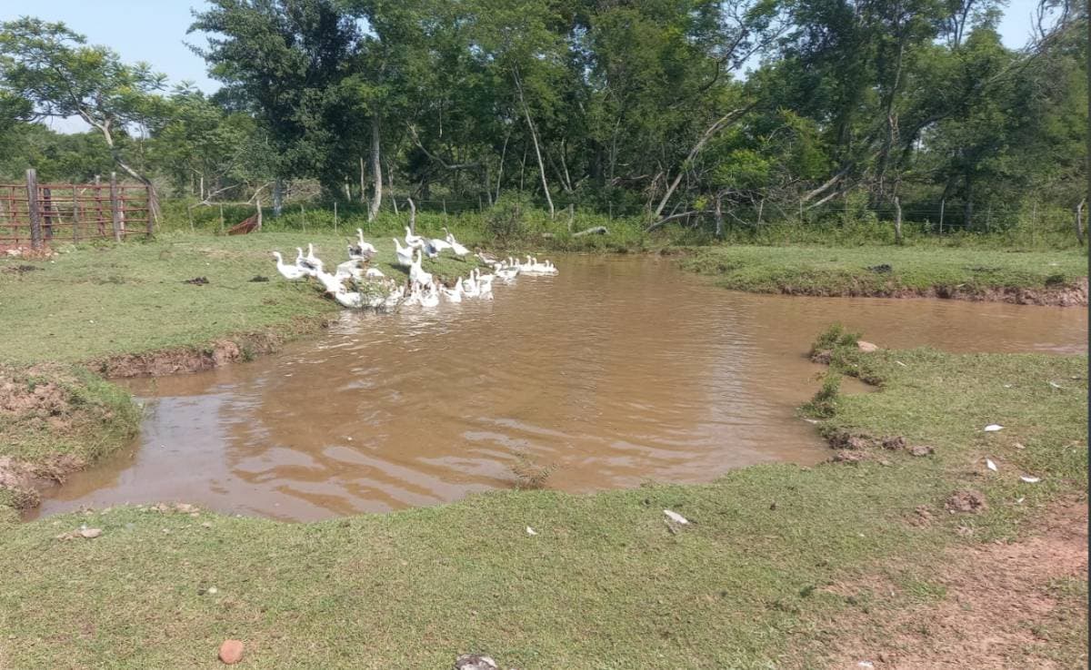Granja en isla valle - aregua, foto 2