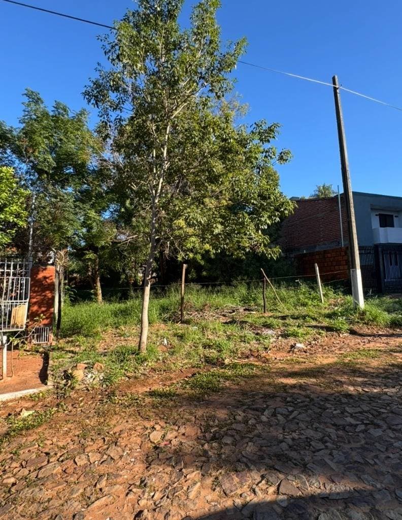 terreno en Lambare, foto 3