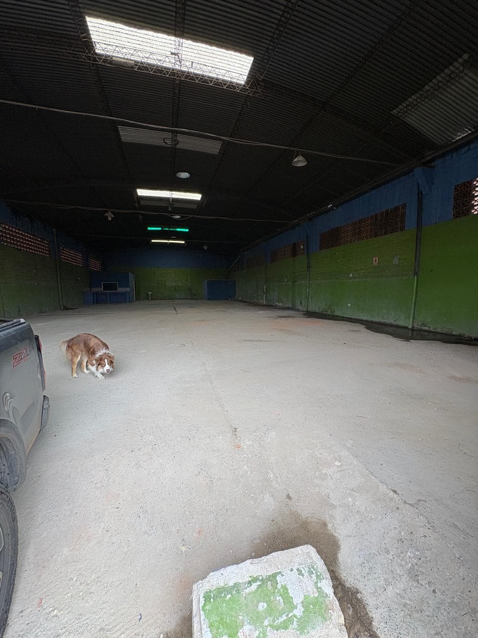 Deposito - Alquiler - Mariano Roque Alonso — foto 2